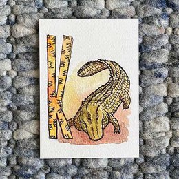 Schede animali ABC (formato A6)