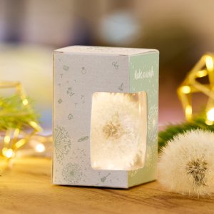 Wunscherfüller Geldgeschenk