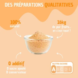 BULK Arancia - Preparato di frutta pura al 100% per reidratare