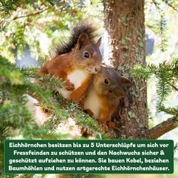 ERDENFREUND® Eichhörnchenhaus
