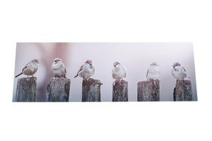 Malerei Spatzen braune Leinwand-ho