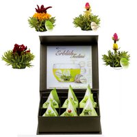 Creano 6 theebloemen Teelini groene thee - in magneetdoosje met zilveren reliëf - 4 verschillende soorten