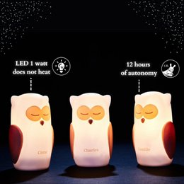 Path of Light - Côme, Charles & Camille Owls - Ricarica a induzione - Bianco