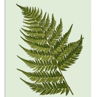 Mini print A5 Fool's Errand