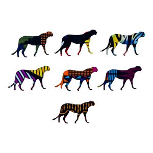 Cheetah Magnets