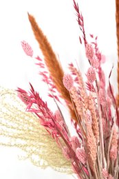 Dried flower bouquet - Cerise - 60 cm