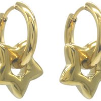 F-F6.1 E2583-050G S. Steel Earrings Star 2.5x1.5cm