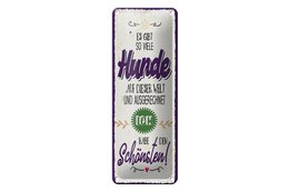 Blechschild Spruch 27x10 cm so viele Hunde ich habe den Schönsten Deko Schild