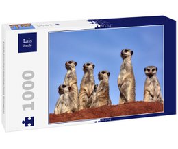  A group of meerkats observing a photographer, depicted in a 1000-piece puzzle. The image shows the meerkats' distinctive features, including their upright posture and alert expressions.