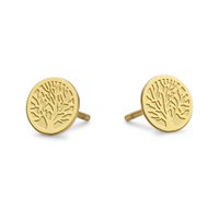 CO88 Collection Sense 8CE-70144 Stalen oorbellen - boom - 6mm - Goudkleurig