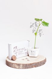 A green plant with heart-shaped leaves and a wooden plaque with the text "La vie belle" on a wooden surface.
