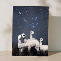 TOGETHER - A5 card with envelop