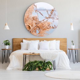 Pampas græs