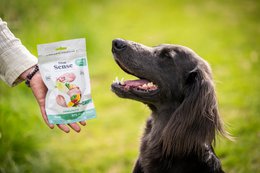 DIBAQ SENSE Immunität Ente 100g