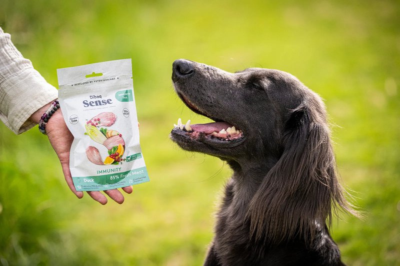 DIBAQ SENSE Immunität Ente 100g