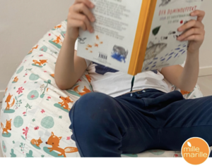 SITZSACK sweet foxes