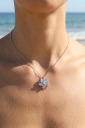 Collier en acier inoxydable