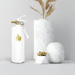 Fire Extinguishers 2 kg - White Gold
