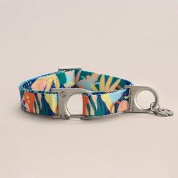 Colorful, patterned pet collar with adjustable buckle closure, suitable for small, medium, and large dogs.