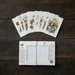 Cardfolder Mushrooms 8. cards w/envelopes
