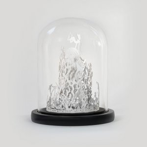 de watertuin (mini-editie)