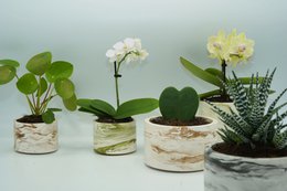 Lille tom krukke - Marble-Look