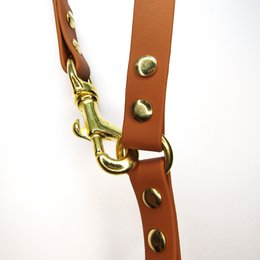 Adjustable dog leash