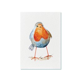 Colorful watercolor painting of a robin redbreast bird on a postcard.