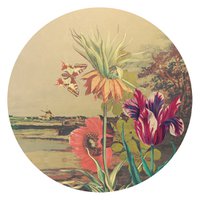 Wall Art | DutchLandscape