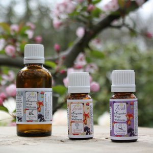 Wipe Wellness – Wechselöl (Nachfüller Bliss) 10ml