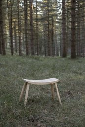 Wooden stool in a forest setting, with tall pine trees surrounding it. The stool has a simple, rustic design and is placed on a grassy forest floor.