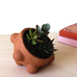 Emma Terracotta Plantekasse