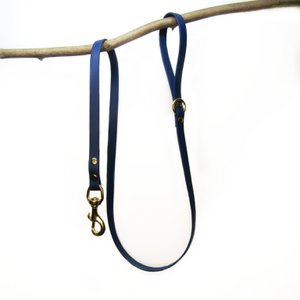 Standaard hondenriem