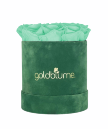 Colección Terciopelo Verde