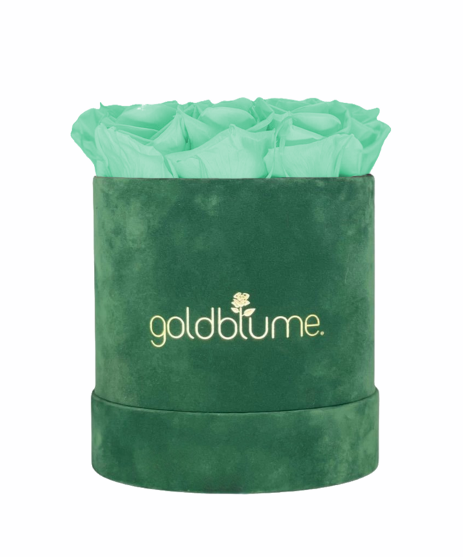 Colección Terciopelo Verde