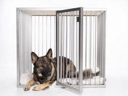 A metal pet crate or cage with a dog and puppy inside. The crate has a black frame and silver bars, providing a secure and comfortable space for the pets.