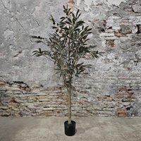 Plant olijfboom zijde 125xH140cm (40110)