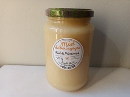 Burgundy creamy spring honey, 500gr jar, golden yellow color, glass container with black lid