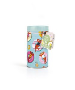 METAL BOX + COLOR CLIP+ STICKY NOTEBOOK+25 G GLOW IN THE DARK + 15 G STANDARD