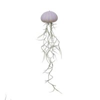 Jellyfish violet medium spanish moss
