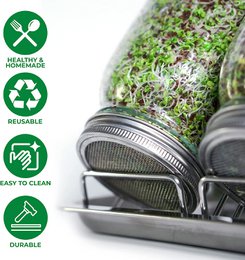 Sproutungsglas Set, 1000 ml Gläser