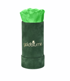 Colección Terciopelo Verde