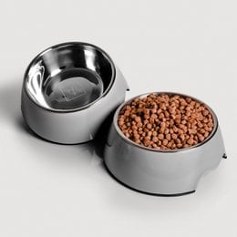 Set of 3 stainless steel pet food bowls in forest green color, available in sizes S, M, and L. Suitable for small dogs and cats.