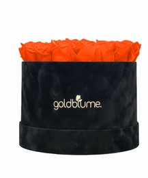 Velvet Black Collection