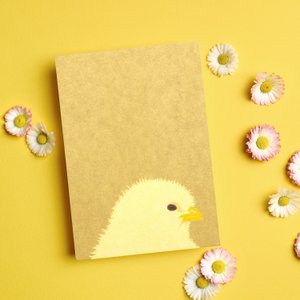 Paaskaart kuiken in delicaat groen - ansichtkaart voor paaswensen of als cadeau-idee voor Pasen, vrolijke paaskaart kuiken, lentekaart