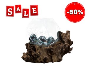 Natuurlijk wortelhout met glazen schaal, 25 cm