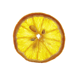 Dried orange slices
