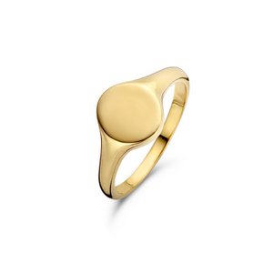 New Bling 9NB-0270 54 Zilveren Ring - Zegelring Rond - maat 54 - Goudkleurig