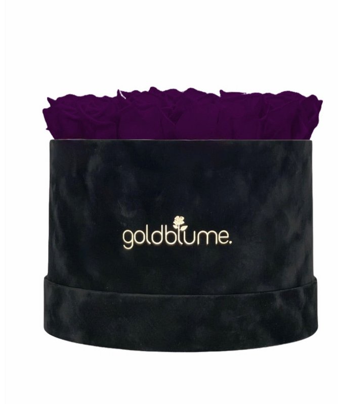 Velvet Black Collection