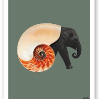 Shellephant-Poster